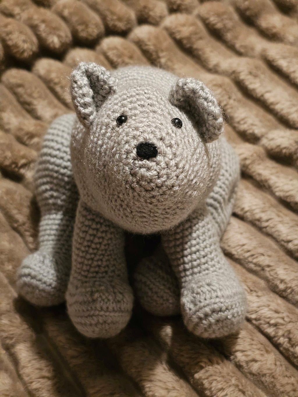 Bear teddy