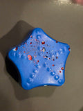 Blue star magnet