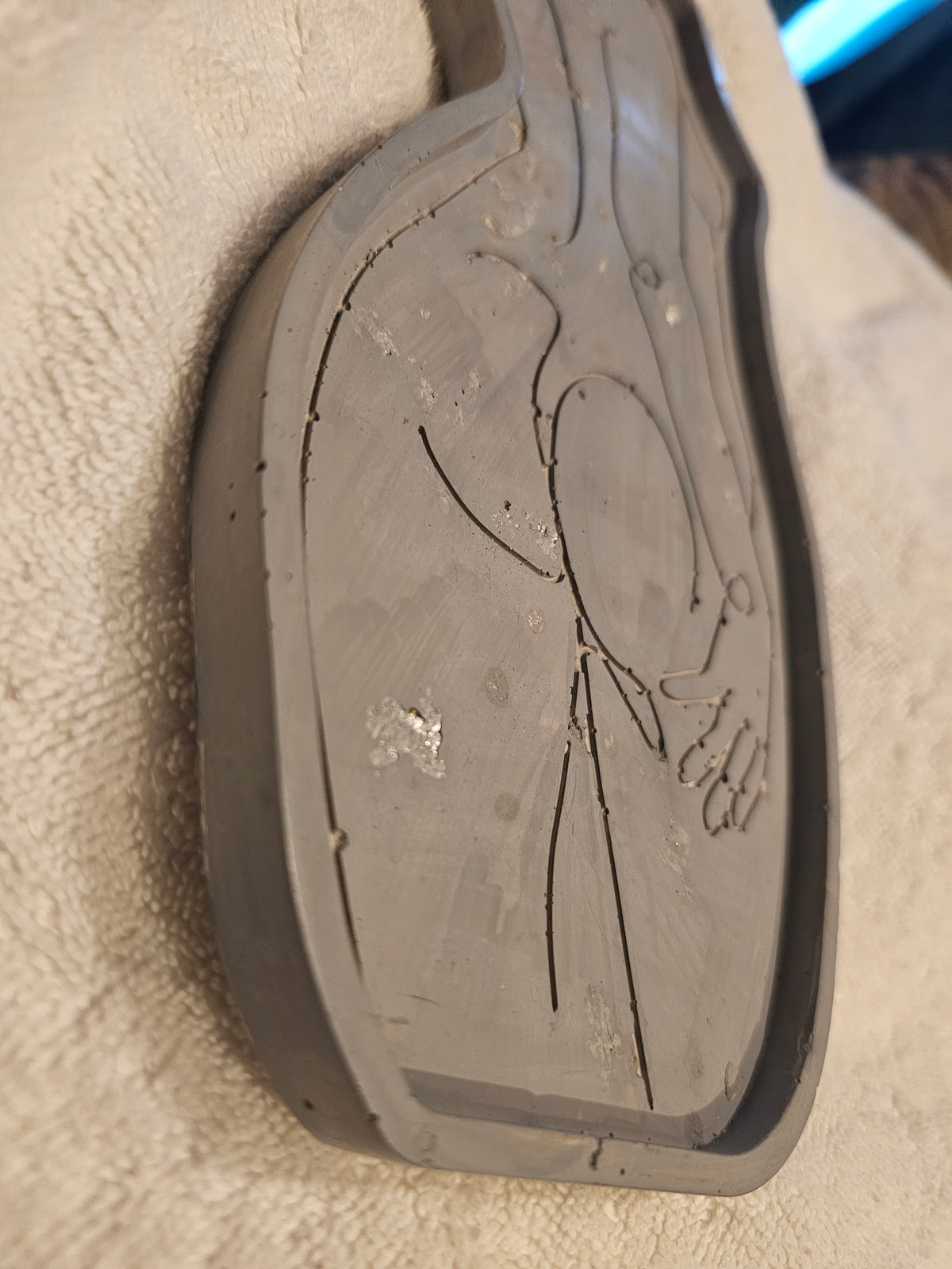 Lady body tray