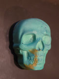 Teal skull magnets